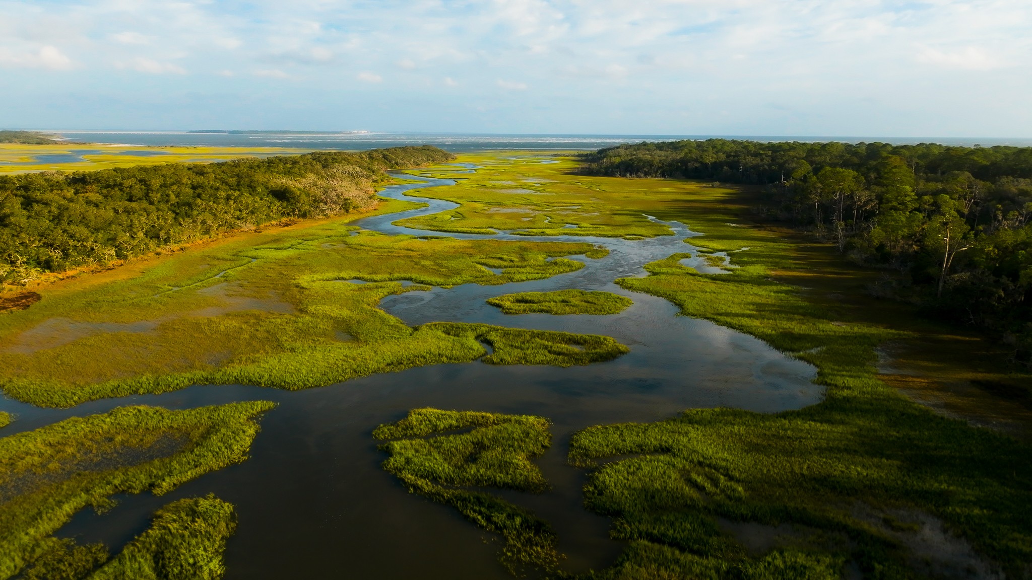 Cowford Conservation